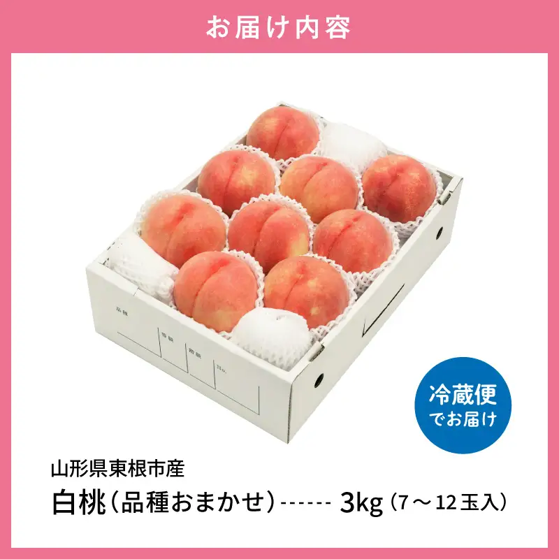 【2026年産】採れたて白桃(品種お任せ)約3kg (7～12玉)もも