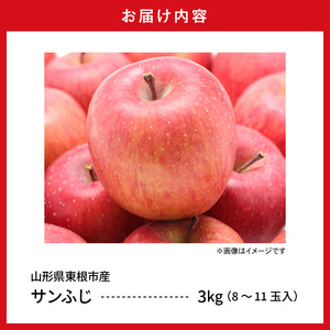 【2026年産】りんご「サンふじ」約3kg(8～11玉入) りんご