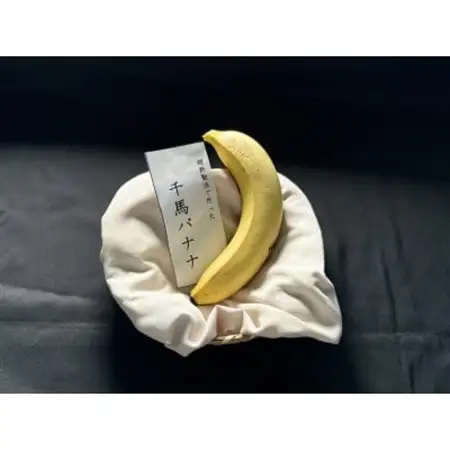 超熟成法仕立て 千馬バナナ 1房 4～5本入り_果物・フルーツ   くだもの_【1567242】