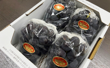 ぶどう 2026年 先行予約 ニューピオーネ 4房(1房480g以上) ブドウ 葡萄 岡山県産 国産 フルーツ 果物 ギフト