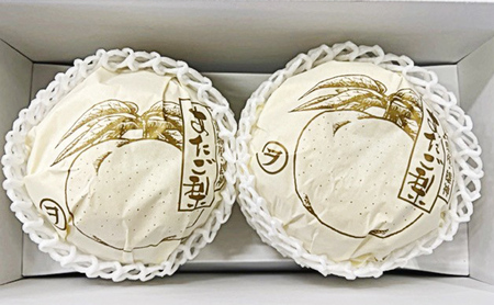 梨 2026年 先行予約 あたご梨 2玉（約1.7kg） 化粧箱