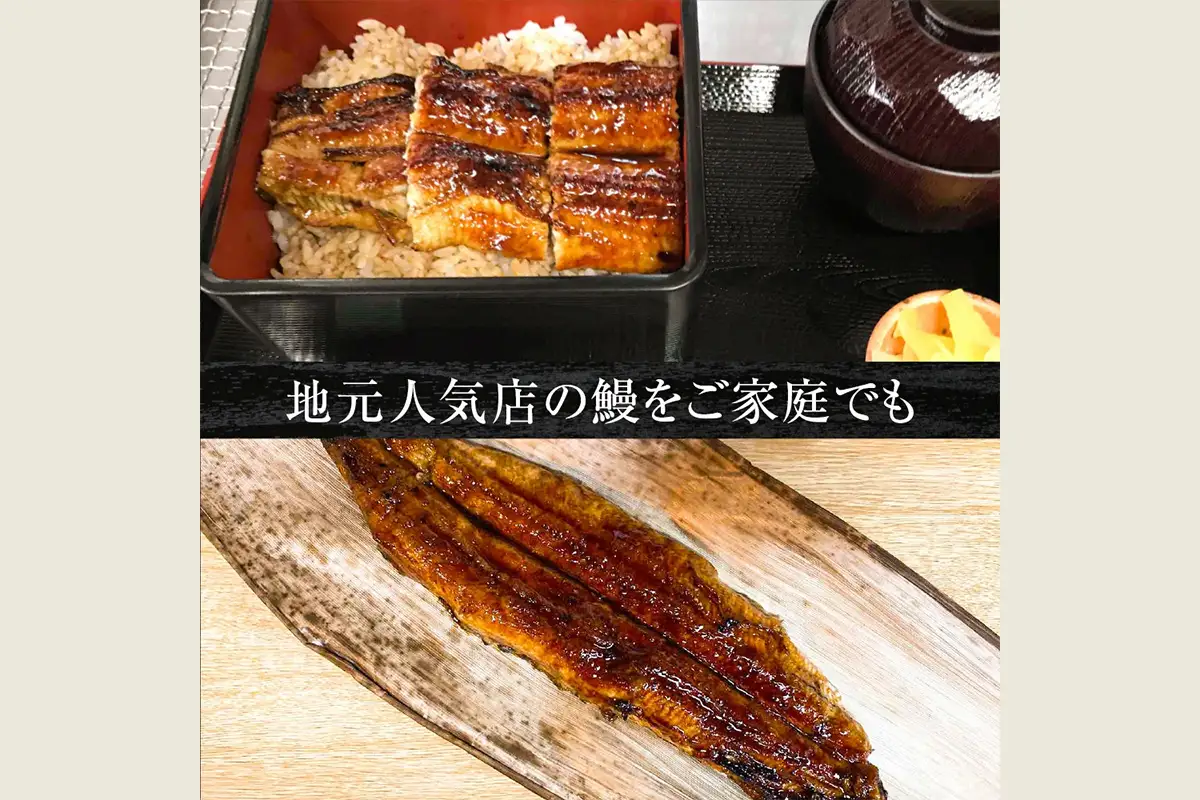 [冷凍] 国産うなぎ 白焼 (1匹) [0867]