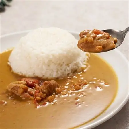 美味安心グリーンカレーレトルト　15箱_惣菜・加工品 カレー  _【1555430】