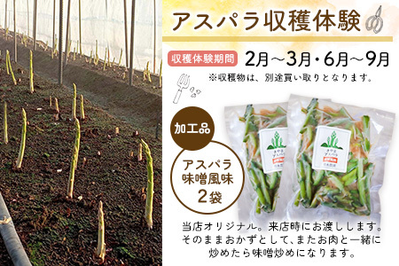 空とたね 食事券＆収穫体験＆加工品セット K093008
