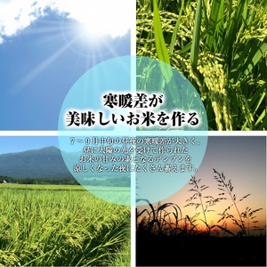 SB0794　令和7年産【精米】雪若丸　5kg×1袋 AB