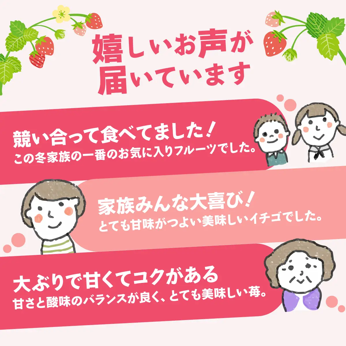 いちご やよいひめDX 800g（箱入り）いちご 群馬県 前橋市