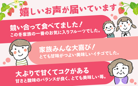 家庭用いちご やよいひめ ４パック 1120g いちご 群馬県 前橋市