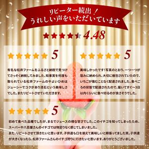 いちご 2品種食べ比べセット 計800g 農林水産大臣賞受賞 2027年 先行予約 |いちご