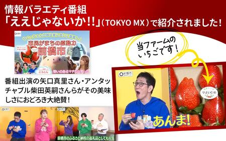 贈答用いちごと無添加ジャム 3個詰め合わせ いちご 群馬県 前橋市