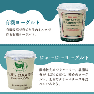 濃厚ヨーグルト 食べ比べ 400g×6個 ヨーグルトセット