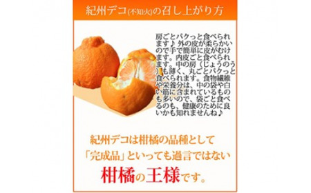 果肉プリプリ♪　完熟紀州デコ(不知火) 約5kg｜柑橘 不知火 デコポン みかん フルーツ 果物 旬 先行予約 でこぽん 国産 産地直送 完熟 一級品  美浜町