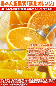 【ご家庭用訳アリ】紀州有田産清見オレンジ　7.5kg
