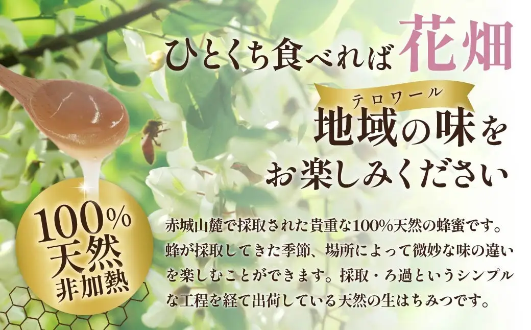 Aセット　赤城山の愛　百花はちみつ×２