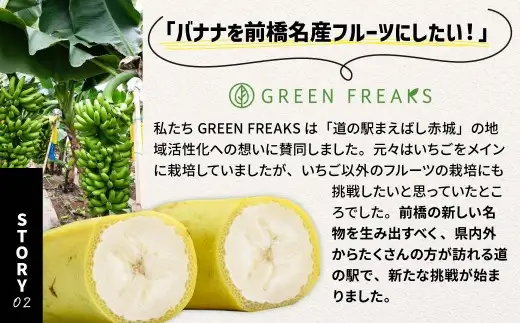 バナナ 紙箱入り 約10本 1.2kg 国産バナナ 贈答