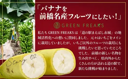 バナナ 桐箱入り 国産高級バナナ 贈答用５本入り