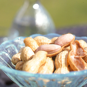 落花生 ゆでピー 約220g×3 落花生 013-03