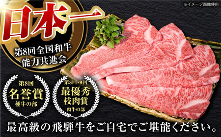 【12回定期】特選飛騨牛5等級サーロインステーキ800g [AVAG010] 飛騨牛 サーロインステーキ