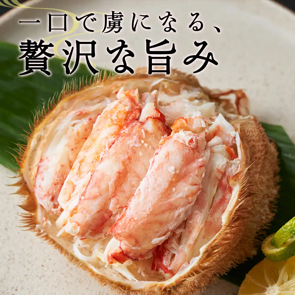 毛がに 500g×2尾 1kg〈小田切水産〉 AM130