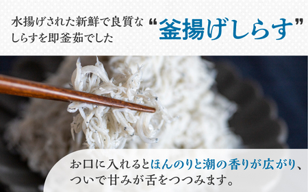 しらす 2種セット 釜揚げしらす480g(240g×2）しらす干し210ｇ / 小分け 便利 おつまみ 酒の肴 ごはんのお供 しらす丼 愛知県 田原市 渥美半島のしらす
