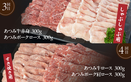 【定期便】あつみ牛豚食べつくし定期便 4回