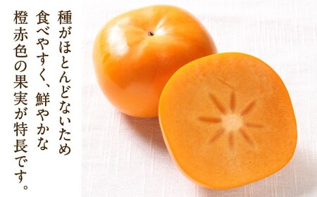 福岡県産 博多秋王【優等品】 計約7.0kg以上【約3.5kg以上（8玉～12玉入り） ×2箱】【2026年10月下旬～12月上旬発送予定】柿 かき 果物 フルーツ くだもの 先行予約