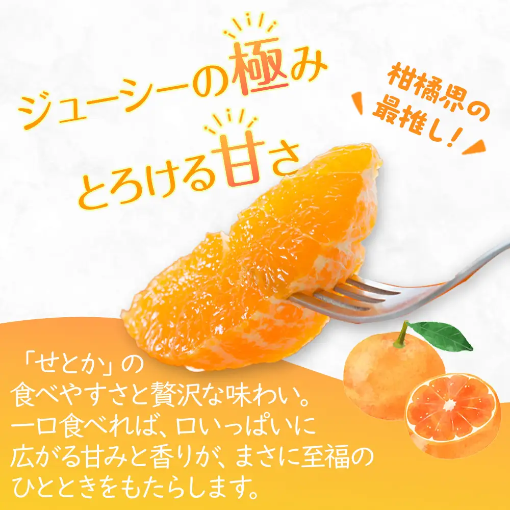 【2027年3月中旬より順次発送】柑橘界の大トロ！せとか　約3kg｜果物 くだもの フルーツ 柑橘 みかん せとか ミカン 人気 おすすめ お土産 ギフト 贈答 家庭用 先行予約 人気 おすすめ 香川 高松