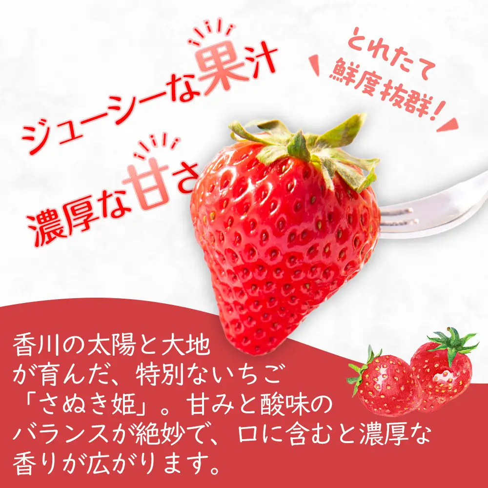 【2027年2月上旬より順次発送】さぬき姫いちご　8パック(1パック約250g)｜果物 くだもの フルーツ イチゴ いちご 苺 さぬきひめ 先行予約 人気 おすすめ ギフト