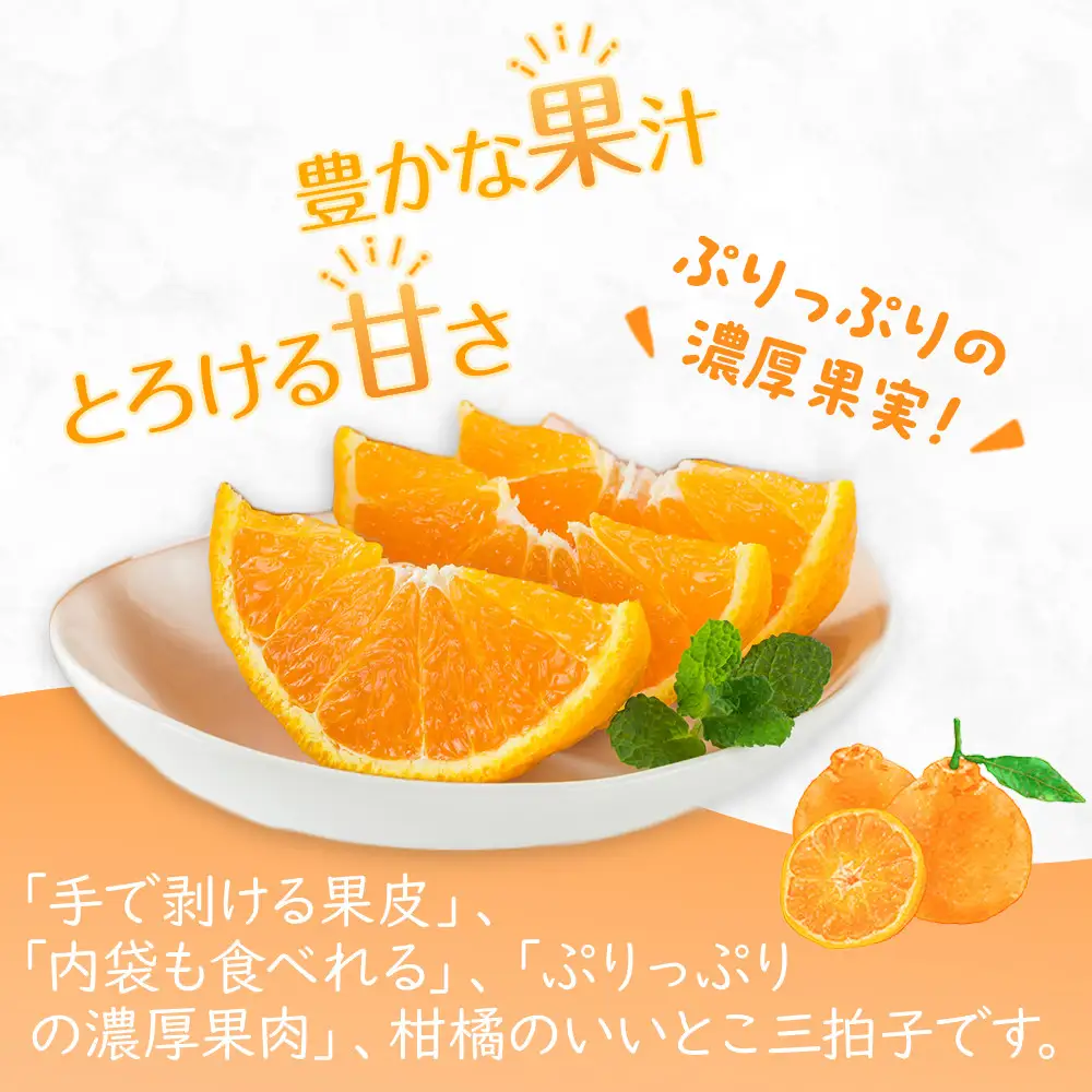 【2027年3月中旬より順次発送】厳選！濃厚甘味の「不知火(しらぬい)」約3kg｜果物 くだもの フルーツ 柑橘 みかん 不知火  濃厚 甘い ミカン 人気 おすすめ 先行予約 香川 高松