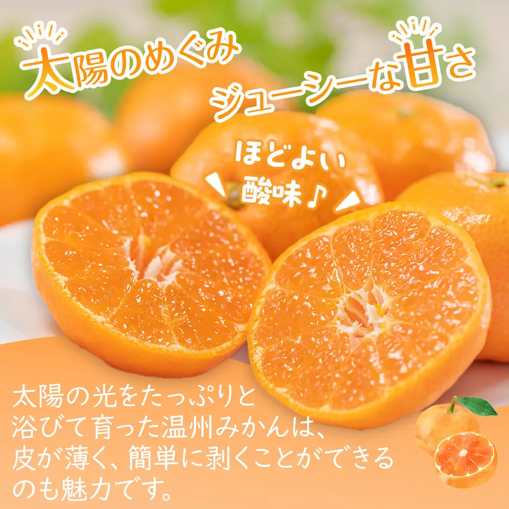 【2026年11月上旬より順次発送】極撰！温州みかん　約5kg｜果物 くだもの フルーツ 柑橘 みかん 温州みかん 人気 おすすめ 先行予約 香川 高松