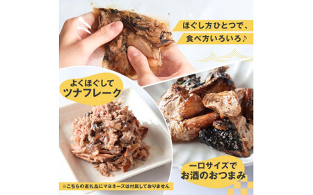 鰹ツナパウチ 100g×5袋セット 100グラム 国産 おにぎり つなまよ ツナマヨ ご飯 お弁当 魚 パスタ サラダ たんぱく質 タンパク質 おやつ かつお【企業組合　宇佐もん工房】 [BQAB064]