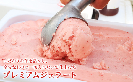 いちごジェラート 静岡 ありすふぁーむ 大容量！ジェラート職人監修 いちごのプレミアムジェラート 苺 イチゴ 冷凍 【島田市】