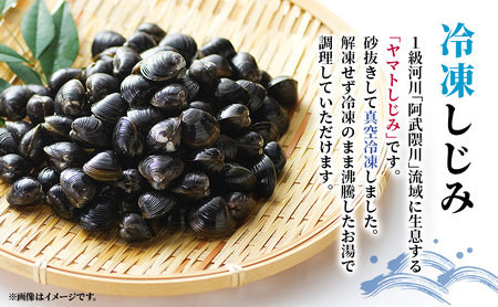 魚介 宮城県荒浜産 冷凍しじみ 600g 砂抜き済・冷凍釜揚げしらす 240g セット