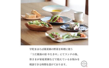 『旬刻旬菜』参加チケット（ペアチケット）家庭菜園のお悩みをプロ農家に相談できるランチ付き農業体験 ／ なつかしいみらいサービス 送料無料 チケット 無農薬栽培 農業体験 家庭菜園 ふるさと納税 奈良県 宇陀市