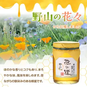 国産純粋蜂蜜 野山みつ 430g 非加熱 はちみつ ハチミツ 生はちみつ ローハニー オススメ 贈答 贈り物 プレゼント 八女市 183-025