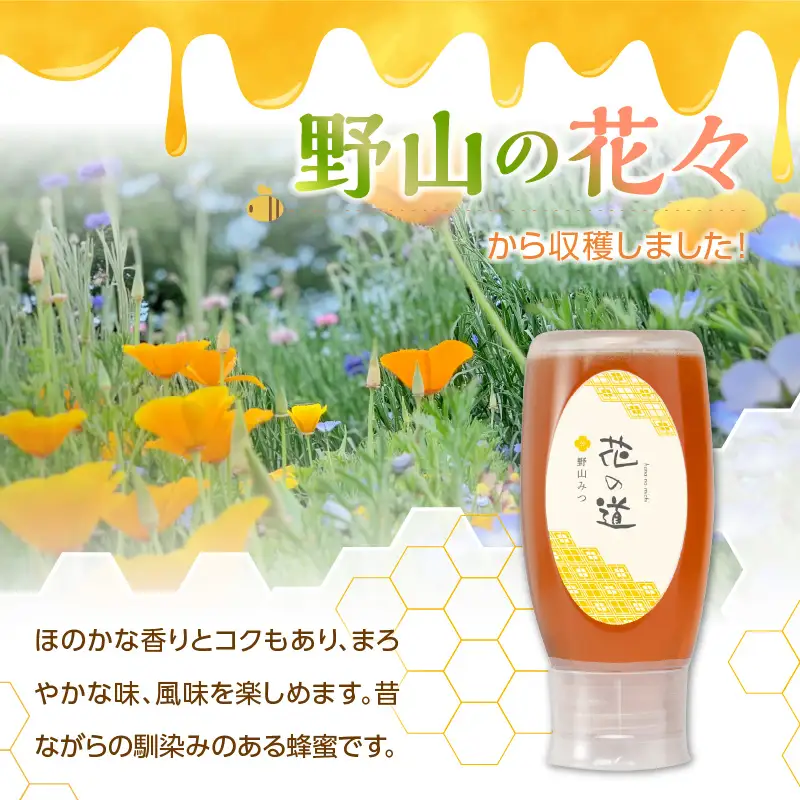 国産純粋蜂蜜 野山みつ 500g 非加熱 はちみつ ハチミツ 生はちみつ ローハニー オススメ 贈答 贈り物 プレゼント 八女市 183-026