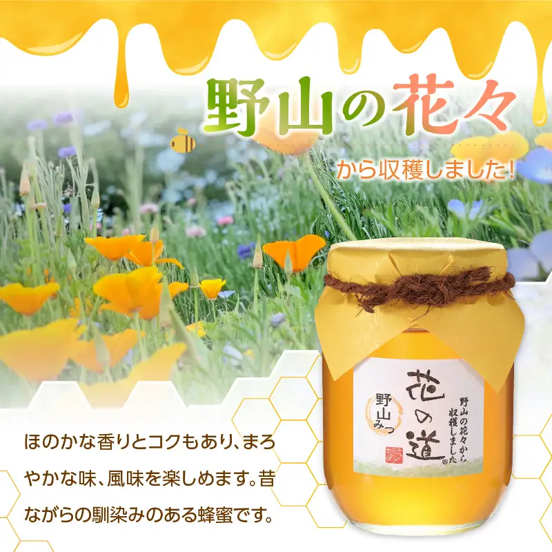 国産純粋蜂蜜 野山みつ 750g 非加熱 はちみつ ハチミツ 生はちみつ ローハニー オススメ 贈答 贈り物 プレゼント 八女市 183-027