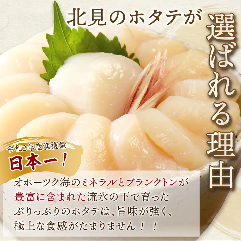 【2026年5月発送】北海道オホーツク海産 ホタテ貝柱 800g 生食用 ( 海鮮 魚介 魚介類 貝 貝類 帆立 ほたて お刺身 刺身 貝柱 海鮮丼 帆立貝柱 ホタテ )【037-0016】