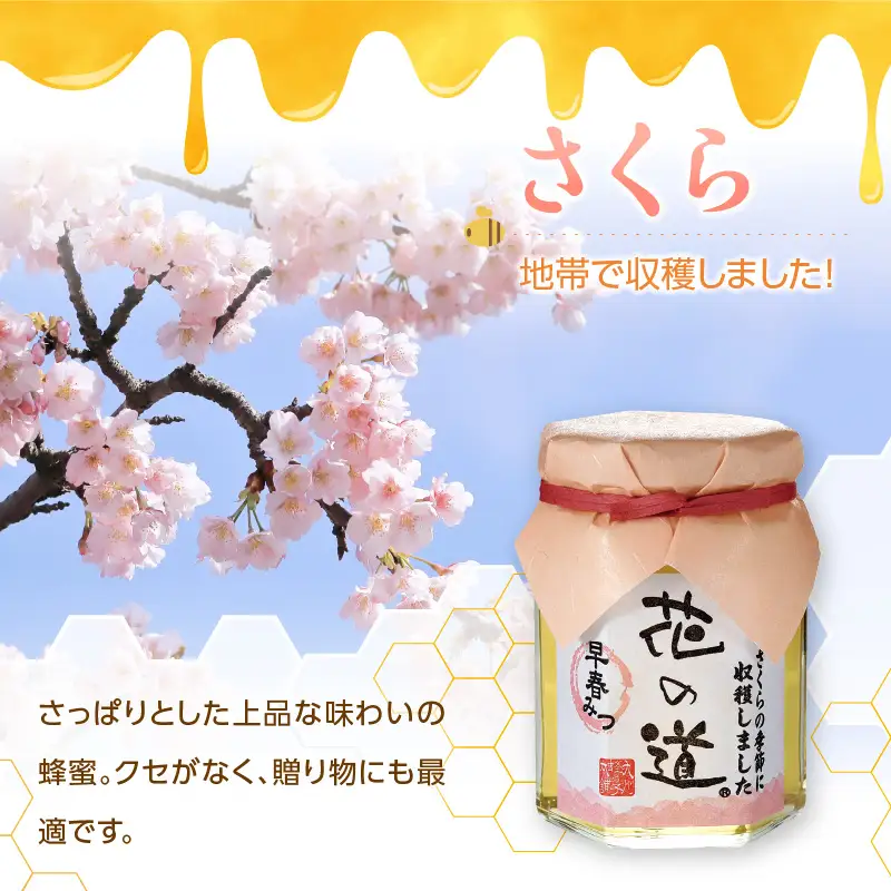 国産純粋蜂蜜 早春みつ 140g 非加熱 はちみつ ハチミツ 生はちみつ ローハニー オススメ 贈答 贈り物 プレゼント 八女市 183-017