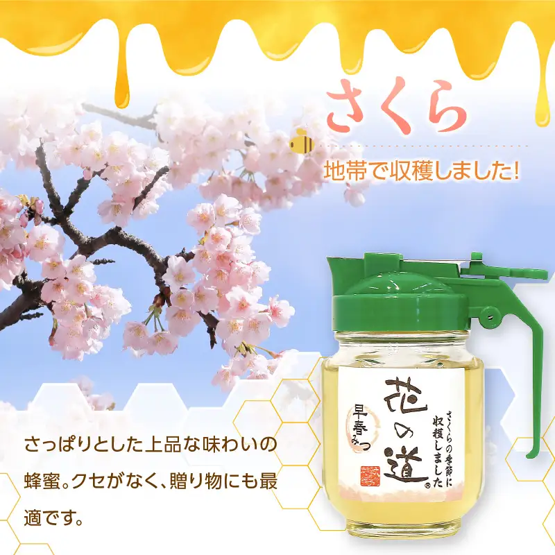 国産純粋蜂蜜 早春みつ 210g 非加熱 はちみつ ハチミツ 生はちみつ ローハニー オススメ 贈答 贈り物 プレゼント 八女市 183-018