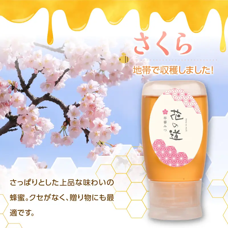 国産純粋蜂蜜 早春みつ 280g 非加熱 はちみつ ハチミツ 生はちみつ ローハニー オススメ 贈答 贈り物 プレゼント 八女市 183-019