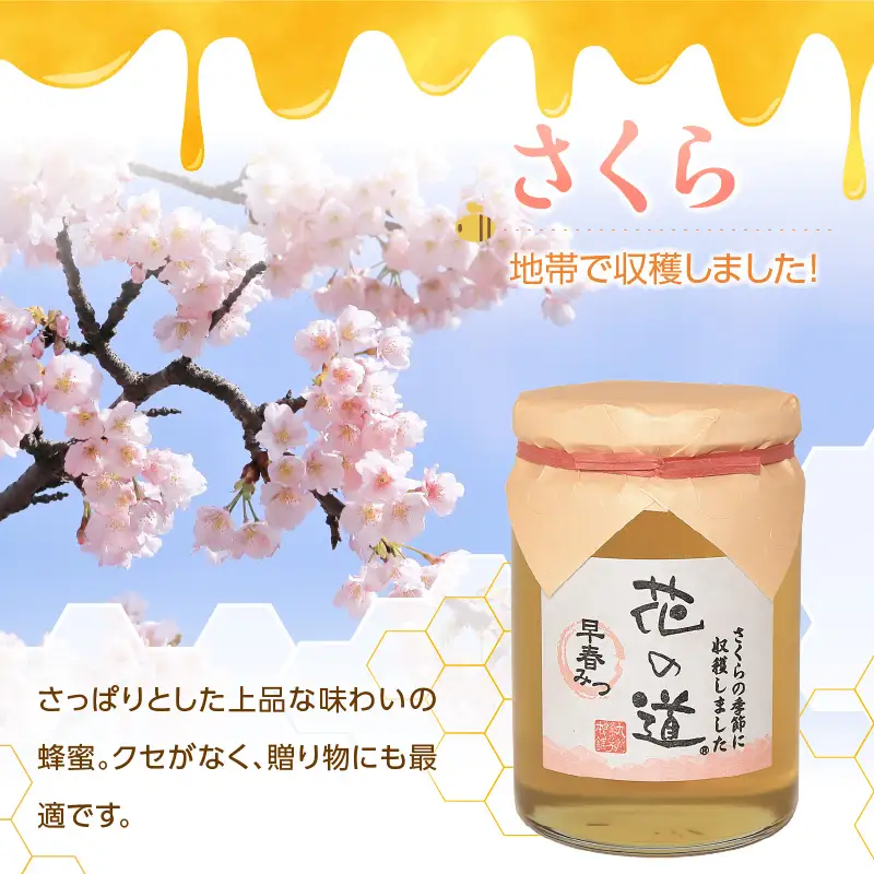 国産純粋蜂蜜 早春みつ 430g 非加熱 はちみつ ハチミツ 生はちみつ ローハニー オススメ 贈答 贈り物 プレゼント 八女市 183-020