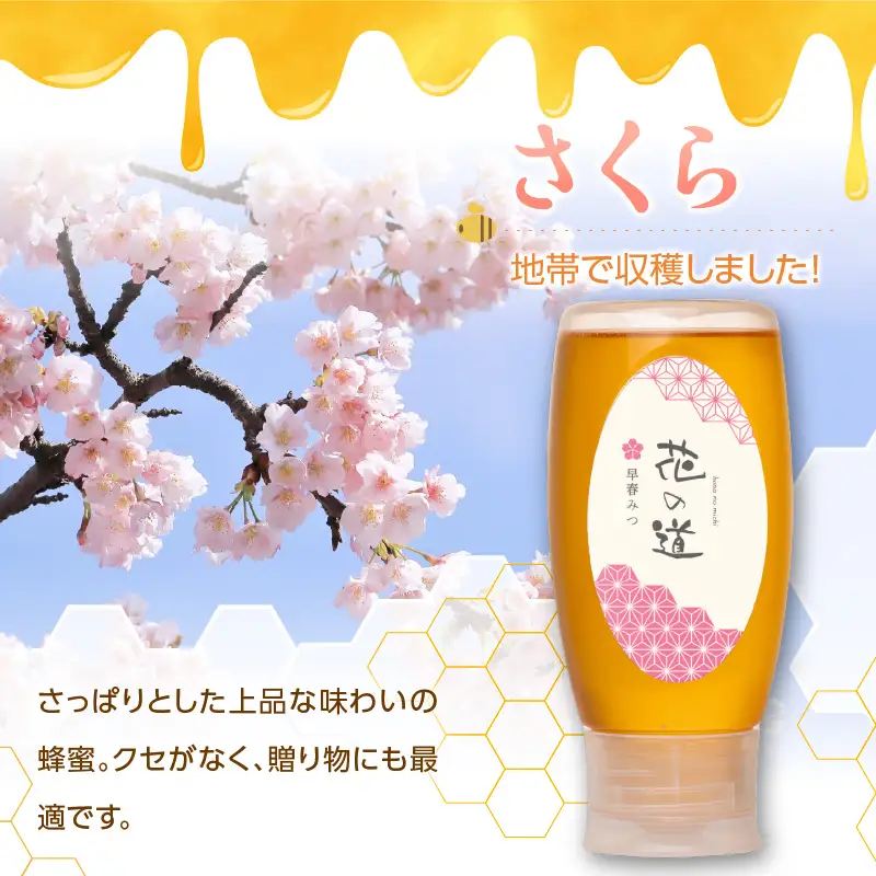 国産純粋蜂蜜 早春みつ 500g 非加熱 はちみつ ハチミツ 生はちみつ ローハニー オススメ 贈答 贈り物 プレゼント 八女市 183-021