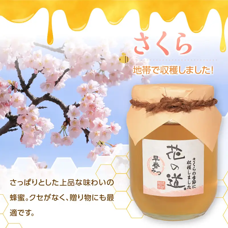 国産純粋蜂蜜 早春みつ 750g 非加熱 はちみつ ハチミツ 生はちみつ ローハニー オススメ 贈答 贈り物 プレゼント 八女市 183-022