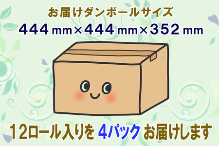 定期便 【全4回】 3ヶ月に1回お届け トイレットペーパー トロフィーエコ 12R×4P(48個) シングル 日用品 エコ 防災 備蓄 消耗品 生活雑貨 生活用品 紙 ペーパー 生活必需品 再生紙 富士市 [sf077-115]