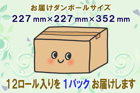 定期便 【全12回】 毎月お届け トイレットペーパー トロフィーエコ 12R×1P(12個) シングル 日用品 エコ 防災 備蓄 消耗品 生活雑貨 生活用品 紙 ペーパー 生活必需品 再生紙 富士市 [sf077-114]