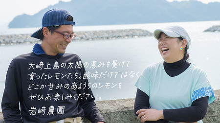 【先行予約】 もぎたてフレッシュ！ せとうちレモン 約5kg (約 40～50個程度 ) 2026年12月中旬～2027年1月発送 ワックス防腐剤不使用 皮まで丸ごと食べられる