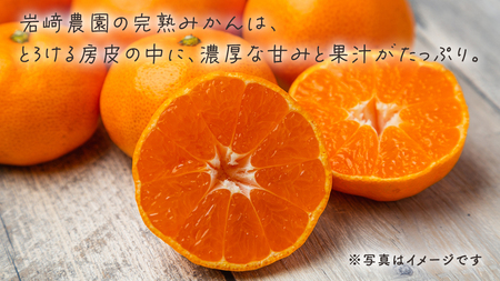 【先行予約】瀬戸内産 島の 完熟 みかん 詰め合わせ 5kg ( 45～55個程度 ) 【12月中旬～1月発送】