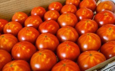 瀬戸内のフルーツトマト 2kg【 2026年4月中旬以降発送 】