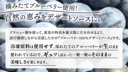 大崎上島産 ブルーベリー100%デザートソース 500mL×2本