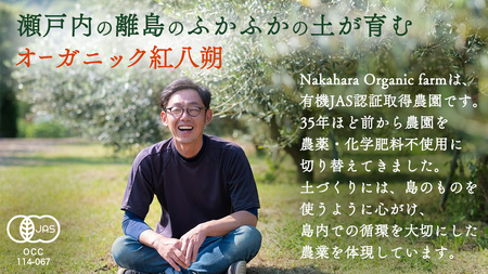 瀬戸内産 オーガニック 紅八朔 3kg 【2027年1月中旬以降発送】